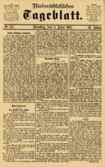 Niederschlesisches Tageblatt, no 131 (Dienstag, den 9. Juni 1885)