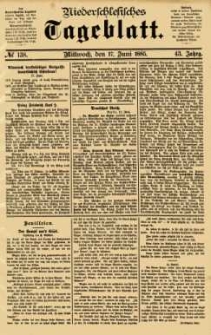 Niederschlesisches Tageblatt, no 138 (Mittwoch, den 17. Juni 1885)
