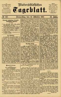 Niederschlesisches Tageblatt, no 247 (Donnerstag, den 22. Oktober 1885)