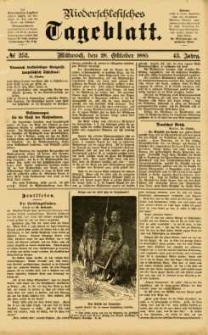 Niederschlesisches Tageblatt, no 252 (Mittwoch, den 28. Oktober 1885)