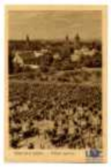 Zielona Góra: Widok ogólny