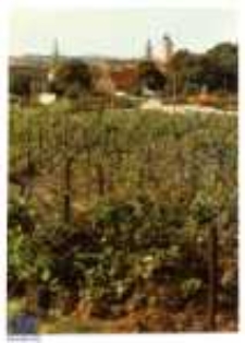 Zielona Góra; Widok z Parku Winnego