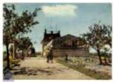 Zielona Góra: Palmiarnia