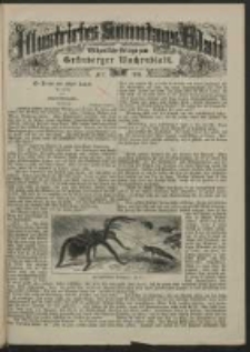 Illustrirtes Sonntags Blatt: Wöchentliche Beilage zum Grünberger Wochenblatt, No. 3. (1884)