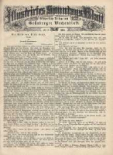Illustrirtes Sonntags Blatt: W&ouml;chentliche Beilage zum Gr&uuml;nberger Wochenblatt, No. 19. (1884)