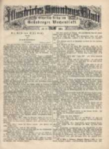 Illustrirtes Sonntags Blatt: Wöchentliche Beilage zum Grünberger Wochenblatt, No. 19. (1884)