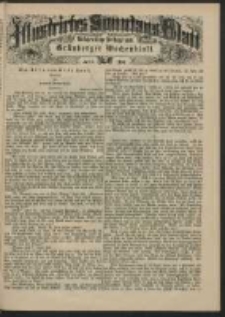 Illustrirtes Sonntags Blatt: W&ouml;chentliche Beilage zum Gr&uuml;nberger Wochenblatt, No. 23. (1884)
