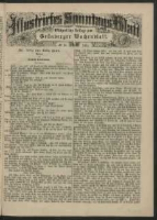 Illustrirtes Sonntags Blatt: Wöchentliche Beilage zum Grünberger Wochenblatt, No. 35. (1884)