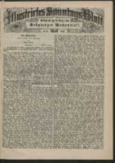 Illustrirtes Sonntags Blatt: Wöchentliche Beilage zum Grünberger Wochenblatt, No. 46. (1884)