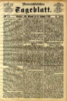 Niederschlesisches Tageblatt, no 221 (Grünberg i. Schl., Mittwoch, den 20. September 1893)