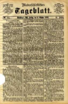 Niederschlesisches Tageblatt, no 241 (Gr&uuml;nberg i. Schl., Freitag, den 13. Oktober 1893)