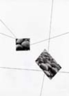 Obiekty dynamiczne w H&uuml;nfeld