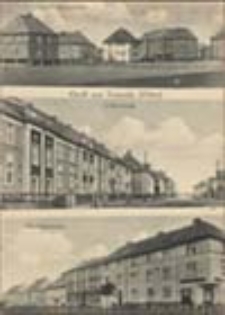 Nowa Sól / Neusalz; Gruß aus Neusalz; Pozdrowienia z Nowej Soli