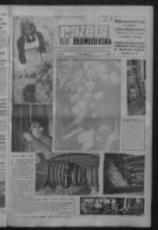 Gazeta Zielonog&oacute;rska : organ KW Polskiej Zjednoczonej Partii Robotniczej R. IX Nr 234 (1/2 października 1960). - [Wyd. A]