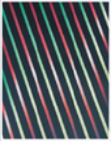 Kolorowy ukryty ogr&oacute;d