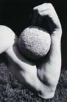 Obiekt nietrwały; Impermanent object