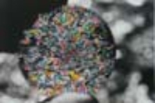 Przestrzeń neuronowo-optyczna; Neuron-Optical Space