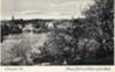 Pełczyce / Bernstei Nm.; Kleiner Puls mit Blick auf die Stadt