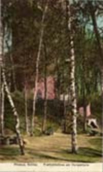 Przewóz / Priebus, Schles; Freilichtbühne am Hungerturm