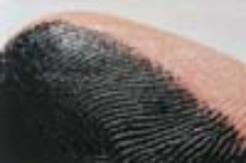 Autoportret; Self-portrait