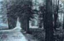 Brody / Pförten; Parkansicht