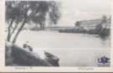 Skwierzyna / Schwerin a. W; Warthepartie