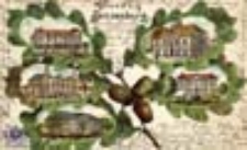 Słońsk / Sonnenburg, N.-M.; Gruss aus Sonnenburg; Pozdrowienia ze Słońska