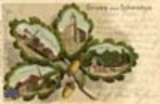 Świebodzin / Schwiebus; Gruss aus Schwiebus; Pozdrowienia ze Świebodzina