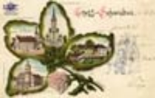 Świebodzin / Schwiebus; Gruss aus Schwiebus; Pozdrowienia ze Świebodzina