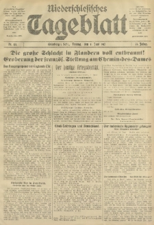 Niederschlesisches Tageblatt, no 131 (Freitag, den 8. Juni 1917)
