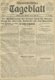Niederschlesisches Tageblatt, no 141 (Mittwoch, den 20. Juni 1917)