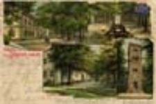 Żary / Sorau; Gruss aus dem Sorauer Walde