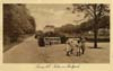 Żary / Sorau N.-L.; Partie im Stadtpark