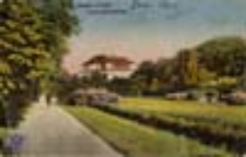 Żary / Sorau N.-L.; Partie im Stadtpark