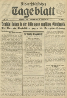 Niederschlesisches Tageblatt, no 228 (Sonnabend, den 29. September 1917)