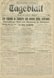 Niederschlesisches Tageblatt, no 233 (Freitag, den 5. Oktober 1917)