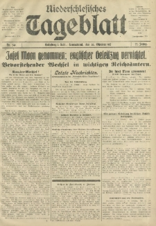Niederschlesisches Tageblatt, no 246 (Sonnabend, den 20. Oktober 1917)