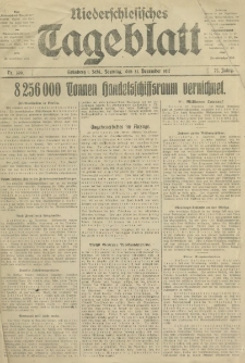 Niederschlesisches Tageblatt, no 300 (Sonntag, den 23. Dezember 1917)