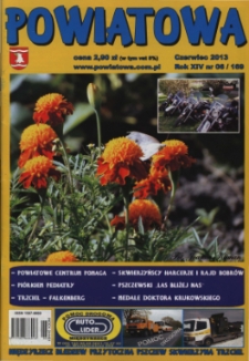 Powiatowa, nr 6 (169) (czerwiec 2013)