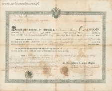Marzin (Marcin) Czernicki (Czerniecki) - dokument zwolnienia ze służby wojskowej