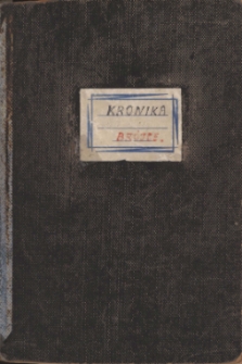 Kronika Szkoły Podstawowej w Brójcach - rok szkolny 1981/1982
