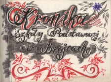 Kronika Szkoły Podstawowej w Brójcach - rok szkolny 1992/1993