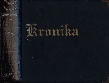 Kronika Szkoły Podstawowej w Brójcach - rok szkolny 2008/2009