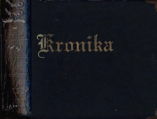 Kronika Szkoły Podstawowej w Brójcach - rok szkolny 2009/2010