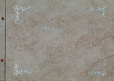 Kronika Przedszkola w Brójcach - rok szkolny 2000/2001