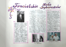 Kronika Urzędu Miasta i Gminy w Trzcielu - 2007