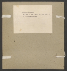 Archiwum prof. Józefa Kostrzewskiego. Teka 2, Pomorze Zachodnie