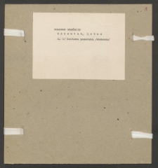 Archiwum prof. Józefa Kostrzewskiego. Teka 11, Pomorze Gdańskie