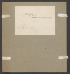 Archiwum prof. Józefa Kostrzewskiego. Teka 19, Wielkopolska