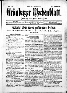 Gr&uuml;nberger Wochenblatt: Zeitung f&uuml;r Stadt und Land, No. 271. ( 19. November 1915 )